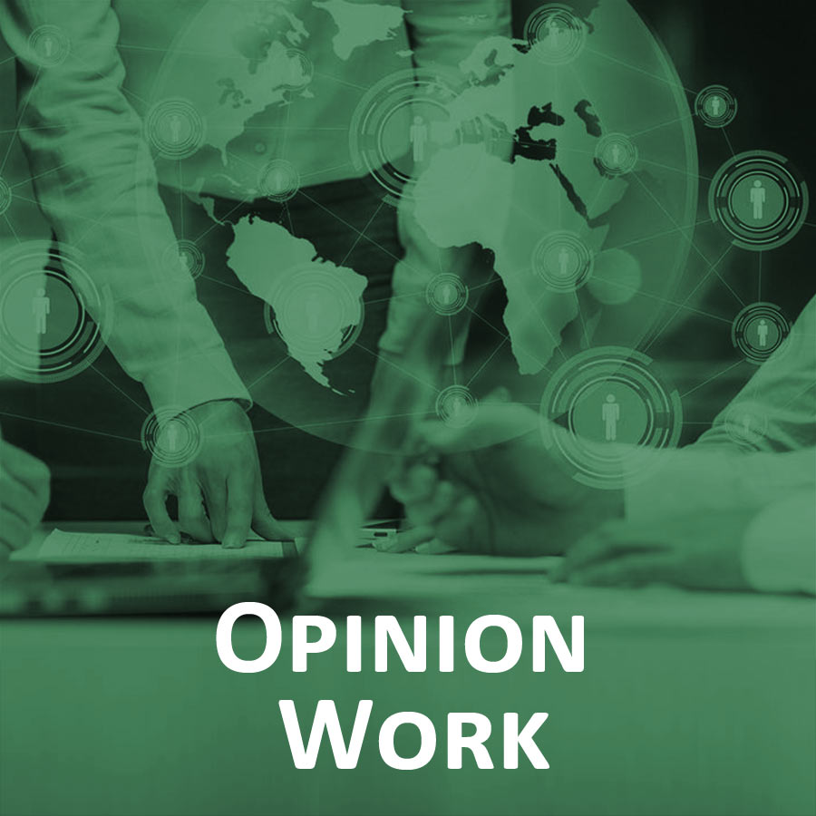 Opinion Work link to page
